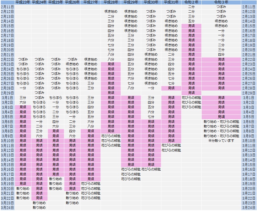 しだれ梅と椿まつり 城南宮