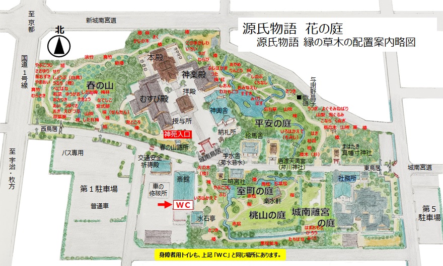 花ごよみ 城南宮 花ごよみ 城南宮