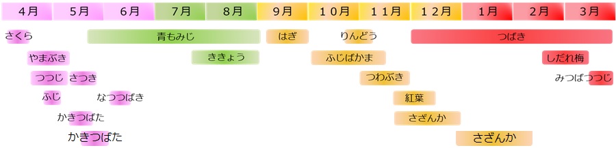 花ごよみ 城南宮 花ごよみ 城南宮